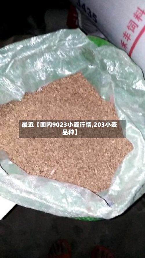 最近【国内9023小麦行情,203小麦品种】