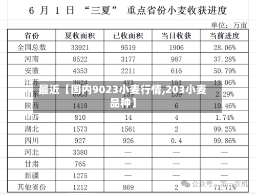 最近【国内9023小麦行情,203小麦品种】-第2张图片
