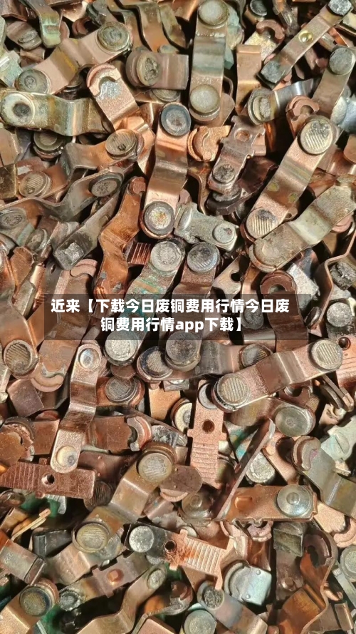 近来【下载今日废铜费用行情今日废铜费用行情app下载】-第3张图片
