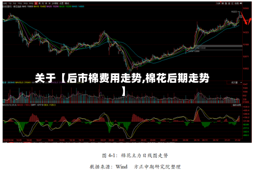 关于【后市棉费用走势,棉花后期走势】-第2张图片