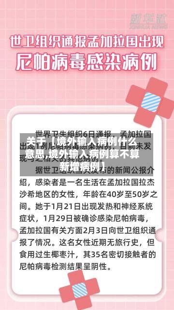 关于【境外输入病例什么意思,境外输入病例算不算新增病例】-第2张图片