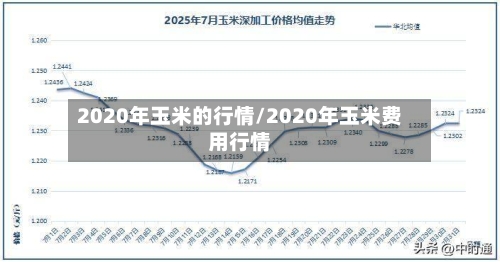2020年玉米的行情/2020年玉米费用行情-第2张图片