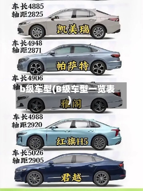 b级车型(B级车型一览表)