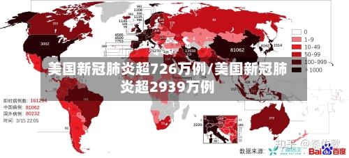 美国新冠肺炎超726万例/美国新冠肺炎超2939万例-第2张图片