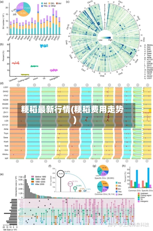 粳稻最新行情(粳稻费用走势)