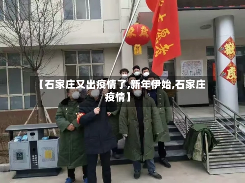 【石家庄又出疫情了,新年伊始,石家庄疫情】-第2张图片