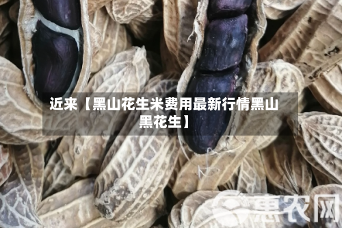 近来【黑山花生米费用最新行情黑山黑花生】-第3张图片