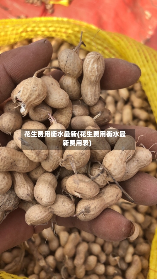 花生费用衡水最新(花生费用衡水最新费用表)