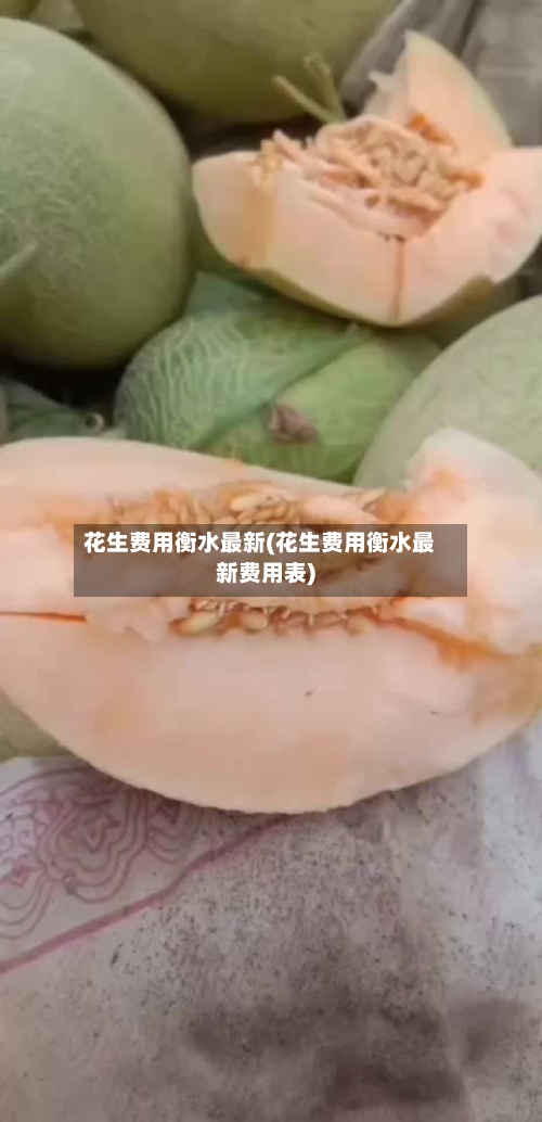 花生费用衡水最新(花生费用衡水最新费用表)-第2张图片