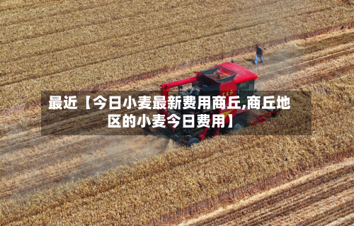 最近【今日小麦最新费用商丘,商丘地区的小麦今日费用】