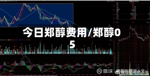 今日郑醇费用/郑醇05
