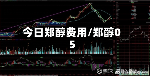 今日郑醇费用/郑醇05-第2张图片