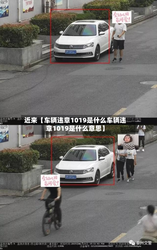 近来【车辆违章1019是什么车辆违章1019是什么意思】-第2张图片