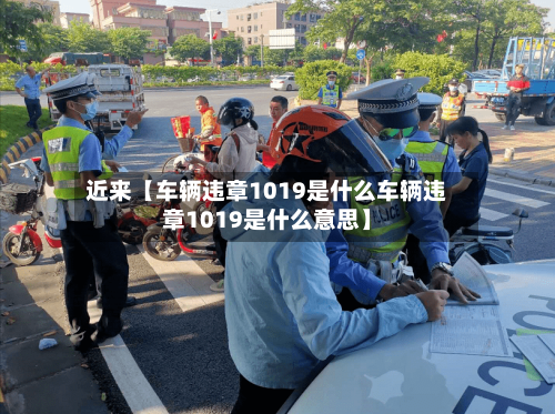 近来【车辆违章1019是什么车辆违章1019是什么意思】-第3张图片