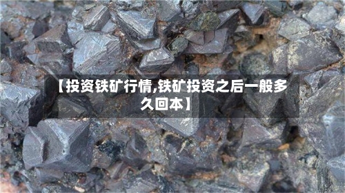 【投资铁矿行情,铁矿投资之后一般多久回本】-第3张图片