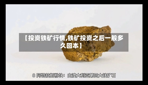 【投资铁矿行情,铁矿投资之后一般多久回本】-第2张图片