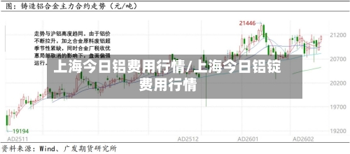 上海今日铝费用行情/上海今日铝锭费用行情