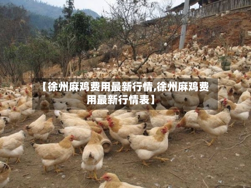 【徐州麻鸡费用最新行情,徐州麻鸡费用最新行情表】-第2张图片
