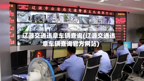 辽源交通违章车辆查询(辽源交通违章车辆查询官方网站)-第2张图片