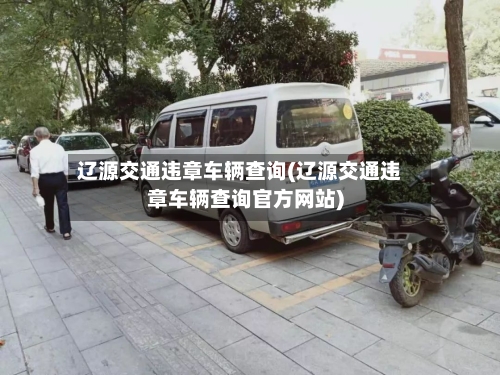 辽源交通违章车辆查询(辽源交通违章车辆查询官方网站)