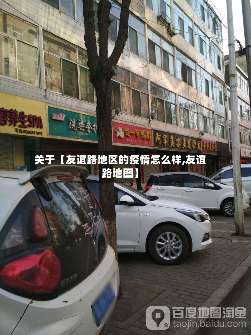 关于【友谊路地区的疫情怎么样,友谊路地图】-第2张图片