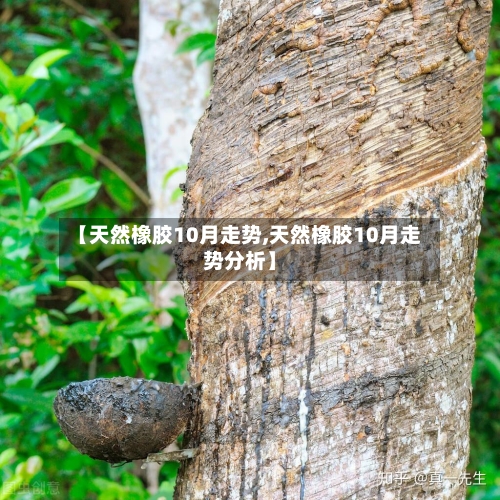 【天然橡胶10月走势,天然橡胶10月走势分析】-第3张图片