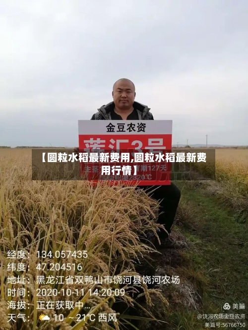 【圆粒水稻最新费用,圆粒水稻最新费用行情】-第2张图片