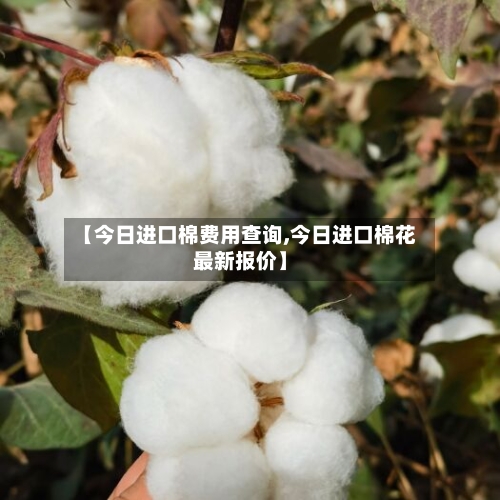 【今日进口棉费用查询,今日进口棉花最新报价】-第2张图片