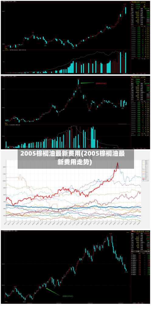 2005棕榈油最新费用(2005棕榈油最新费用走势)-第2张图片