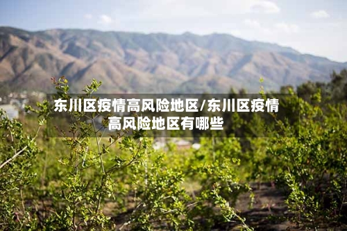 东川区疫情高风险地区/东川区疫情高风险地区有哪些-第2张图片