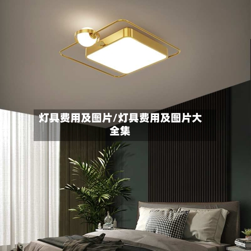 灯具费用及图片/灯具费用及图片大全集-第2张图片