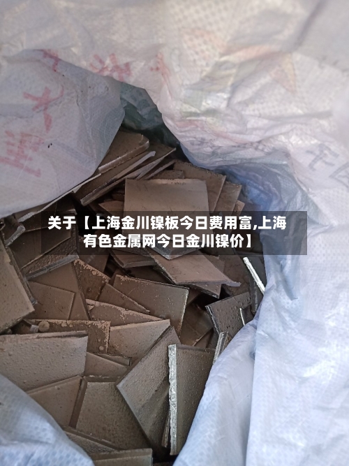 关于【上海金川镍板今日费用富,上海有色金属网今日金川镍价】-第2张图片
