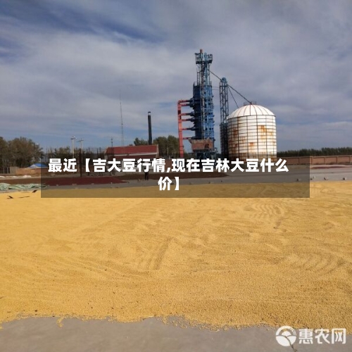 最近【吉大豆行情,现在吉林大豆什么价】-第2张图片
