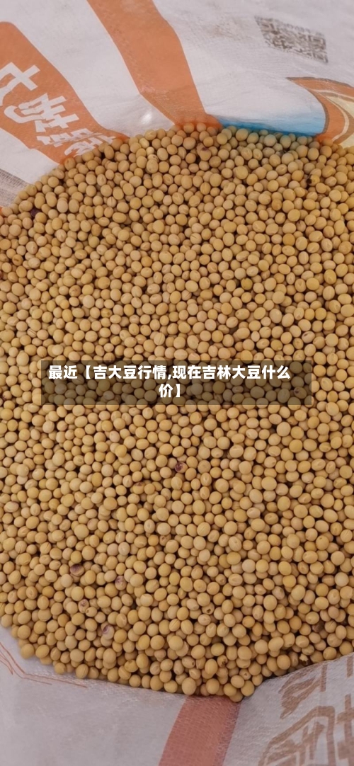 最近【吉大豆行情,现在吉林大豆什么价】