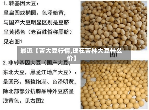 最近【吉大豆行情,现在吉林大豆什么价】-第3张图片