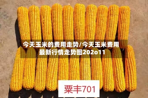 今天玉米的费用走势/今天玉米费用最新行情走势图202o11