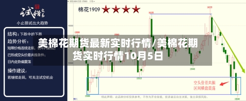 美棉花期货最新实时行情/美棉花期货实时行情10月5日
