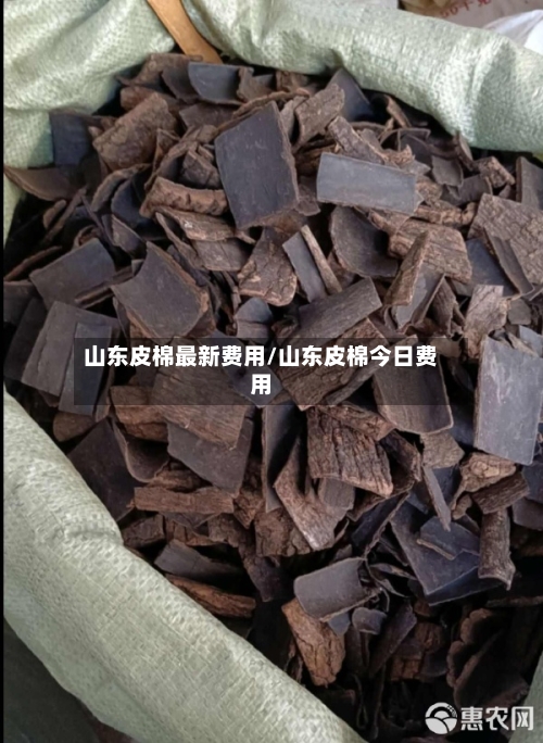 山东皮棉最新费用/山东皮棉今日费用