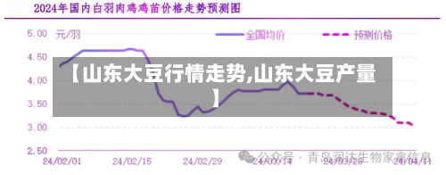 【山东大豆行情走势,山东大豆产量】