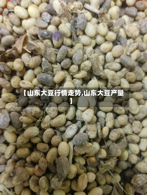 【山东大豆行情走势,山东大豆产量】-第3张图片