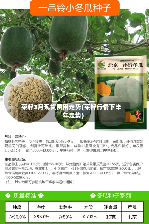 菜籽3月现货费用走势(菜籽行情下半年走势)
