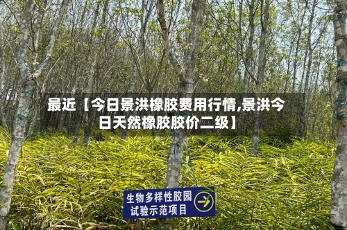 最近【今日景洪橡胶费用行情,景洪今日天然橡胶胶价二级】