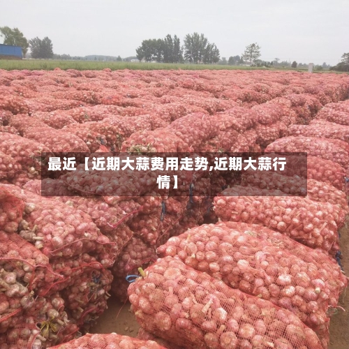 最近【近期大蒜费用走势,近期大蒜行情】-第2张图片