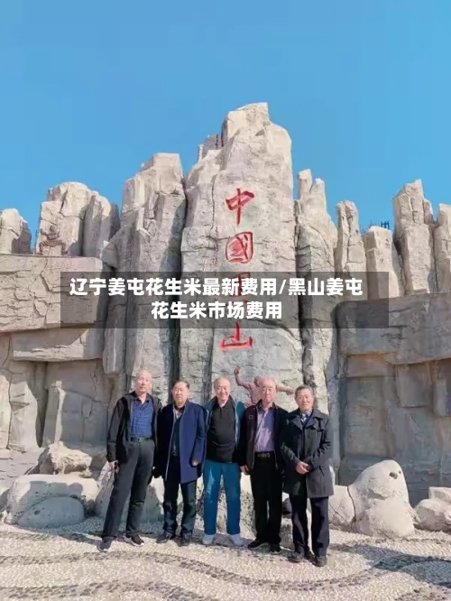 辽宁姜屯花生米最新费用/黑山姜屯花生米市场费用-第3张图片