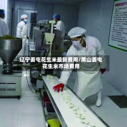 辽宁姜屯花生米最新费用/黑山姜屯花生米市场费用-第2张图片