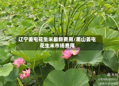 辽宁姜屯花生米最新费用/黑山姜屯花生米市场费用