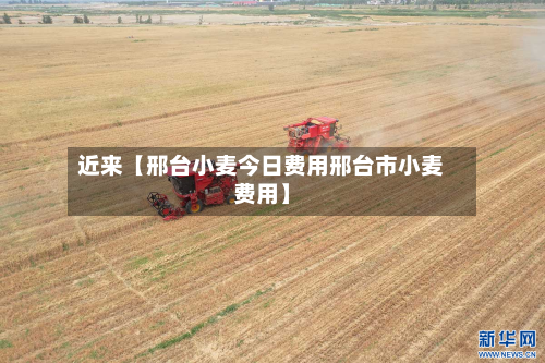 近来【邢台小麦今日费用邢台市小麦费用】