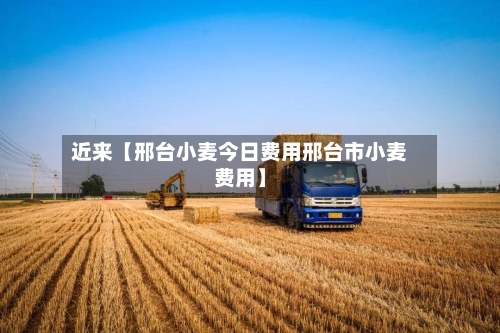 近来【邢台小麦今日费用邢台市小麦费用】-第2张图片
