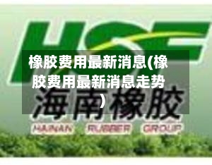 橡胶费用最新消息(橡胶费用最新消息走势)