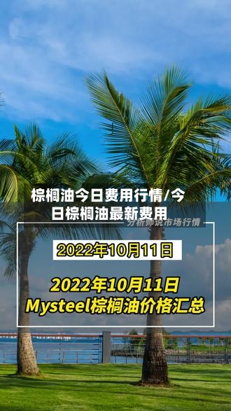 棕榈油今日费用行情/今日棕榈油最新费用-第3张图片